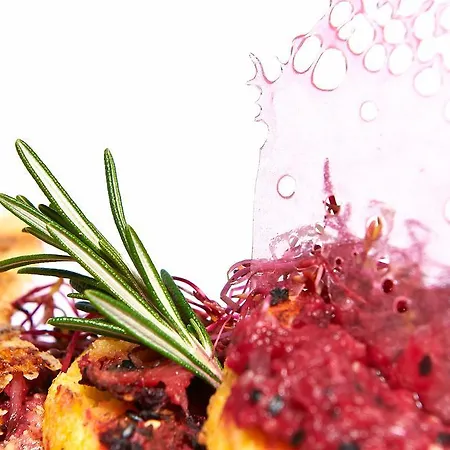 Vegan Und Restaurants Nicolay 1881 Hotel 3*