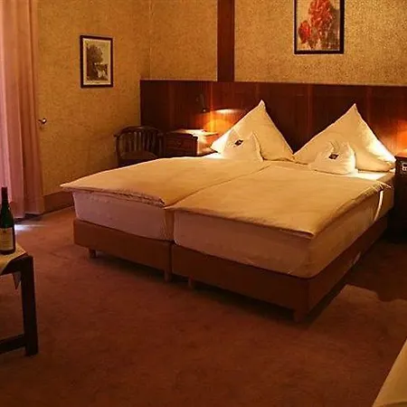 Vegan Und Restaurants Nicolay 1881 Hotel