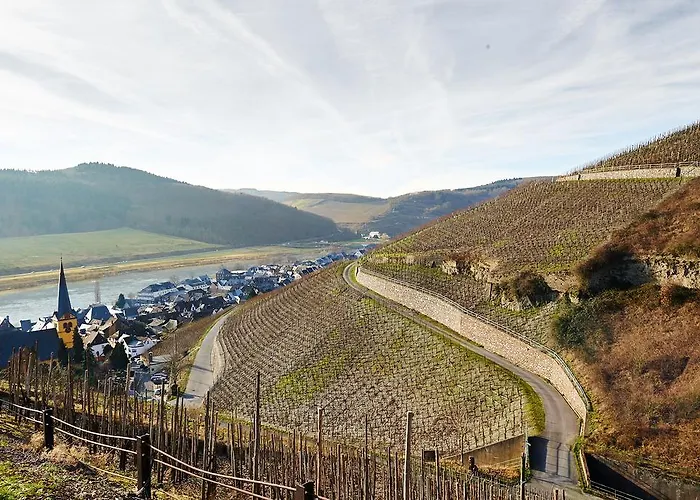 Vegan Und Restaurants Nicolay 1881 Zeltingen-Rachtig