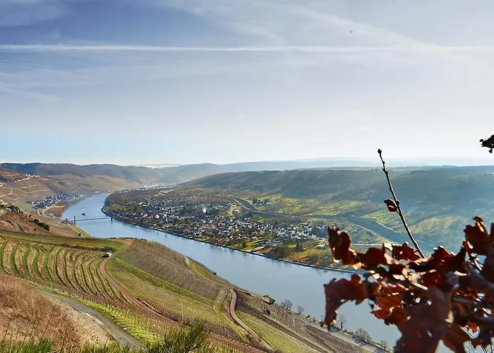 Vegan Und Restaurants Nicolay 1881 3*