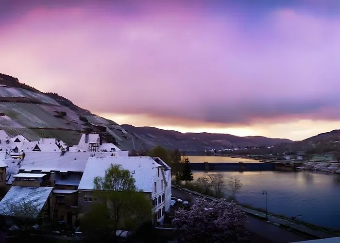 Vegan Und Restaurants Nicolay 1881 Hotel