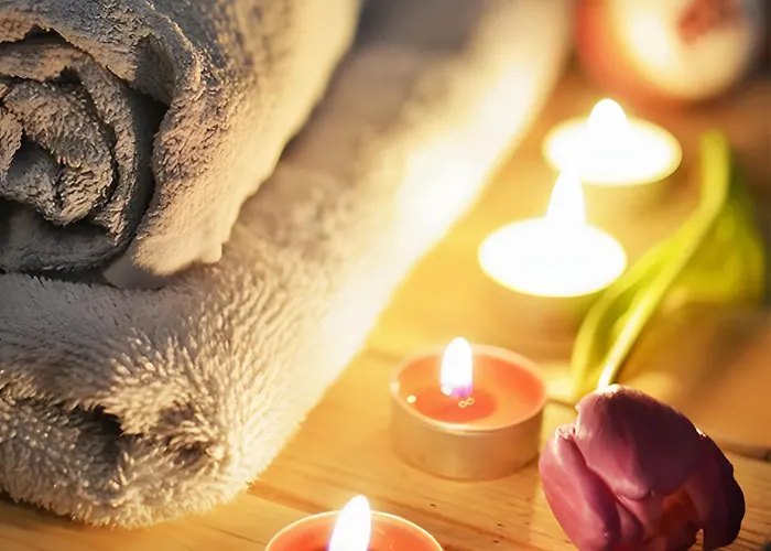 Vegan Und Restaurants Nicolay 1881 Zeltingen-Rachtig