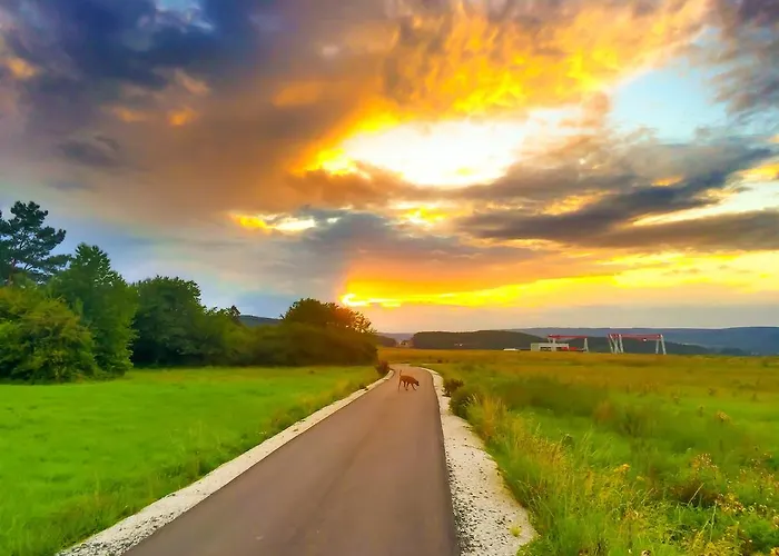 Vegan Und Restaurants Nicolay 1881 Hotel Zeltingen-Rachtig