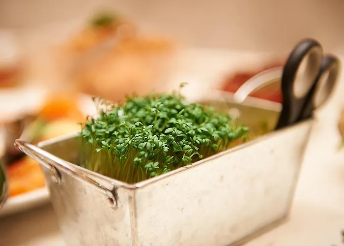 Vegan Und Restaurants Nicolay 1881 3* Zeltingen-Rachtig